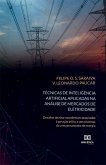 Técnicas de inteligência artificial aplicadas na análise de mercados de eletricidade (eBook, ePUB)