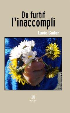 Du furtif l'inaccompli (eBook, ePUB) - Cador, Lucie