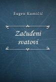 Začuđeni svatovi (eBook, ePUB)