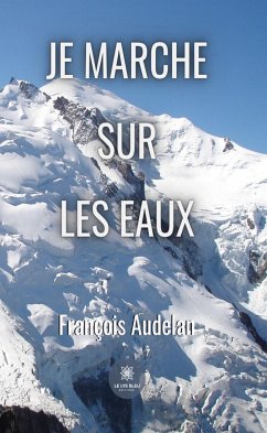 Je marche sur les eaux (eBook, ePUB) - Audelan, François