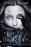 Eye of the Raven (Storm Bloodline Saga) (eBook, ePUB)
