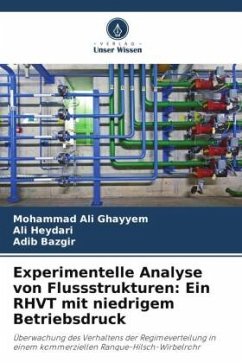Experimentelle Analyse von Flussstrukturen: Ein RHVT mit niedrigem Betriebsdruck - Ghayyem, Mohammad Ali;Heydari, Ali;Bazgir, Adib