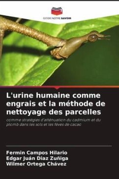 L'urine humaine comme engrais et la méthode de nettoyage des parcelles - Campos Hilario, Fermin;Diaz Zuñiga, Edgar Juán;Ortega Chávez, Wilmer