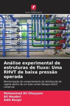 Análise experimental de estruturas de fluxo: Uma RHVT de baixa pressão operada - Ghayyem, Mohammad Ali;Heydari, Ali;Bazgir, Adib