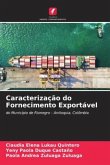 Caracterização do Fornecimento Exportável