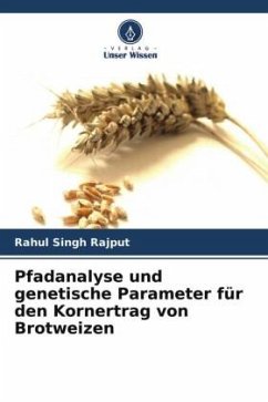 Pfadanalyse und genetische Parameter für den Kornertrag von Brotweizen - Rajput, Rahul Singh
