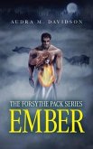 Ember (eBook, ePUB)