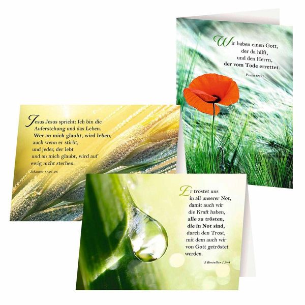 3er-Set Trauerkarten »Trostworte der Bibel« - Bei bücher.de immer portofrei