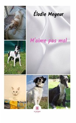 M’aime pas mal (eBook, ePUB) - Meyeur, Élodie