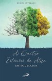 As Quatro Estações da Alma em Sol Maior (eBook, ePUB)