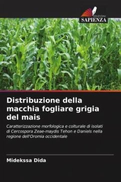 Distribuzione della macchia fogliare grigia del mais - Dida, Midekssa