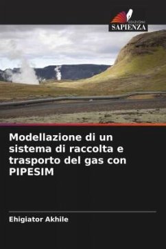 Modellazione di un sistema di raccolta e trasporto del gas con PIPESIM - Akhile, Ehigiator
