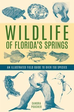 Wildlife of Florida's Springs (eBook, ePUB) - Poucher, Sandra