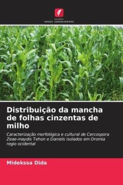 Distribuição da mancha de folhas cinzentas de milho - Dida, Midekssa