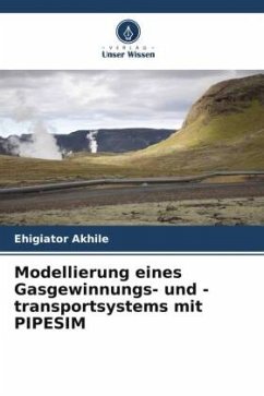 Modellierung eines Gasgewinnungs- und -transportsystems mit PIPESIM - Akhile, Ehigiator