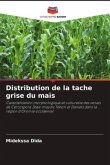 Distribution de la tache grise du maïs