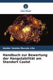 Handbuch zur Bewertung der Hangstabilität am Standort Castel