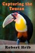 Capturing Toucan (eBook, ePUB) - Bild 1