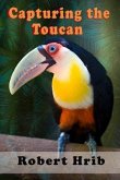 Capturing Toucan (eBook, ePUB)