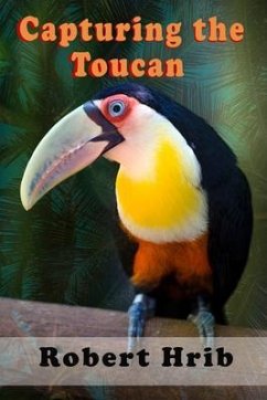 Cover Capturing Toucan (eBook, ePUB)