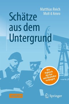 Schätze aus dem Untergrund (eBook, PDF) - Reich, Matthias; Amro, Moh’d