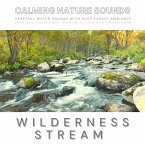 Peaceful Water Sounds With Deep Forest Ambiance: Wilderness Stream & Babbling Brook (MP3-Download)