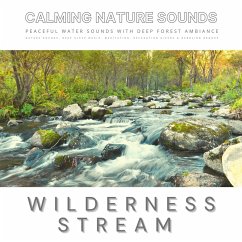 Peaceful Water Sounds With Deep Forest Ambiance: Wilderness Stream & Babbling Brook (MP3-Download) - Goldman, Dr. Laurence