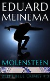 Molensteen (Delft Blue Crimes (Nederlandstalig), #3) (eBook, ePUB)