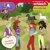 Folge 20: Eine falsche Entscheidung (MP3-Download)