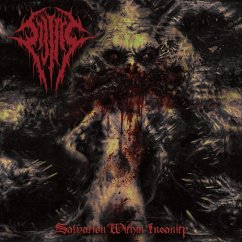 Salvation Within Insanity - Sijjeel