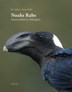 Noahs Rabe - Gedeon, Kai
