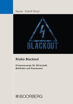 Risiko Blackout (eBook, ePUB) - Haacke, Florian; Endreß, Christian
