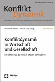 Konfliktdynamik in Wirtschaft und Gesellschaft (eBook, PDF)