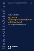 Big Data im Spannungsfeld von Wirtschaft und Gerechtigkeit (eBook, PDF)