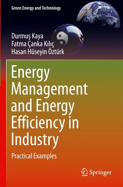 Energy Management and Energy Efficiency in Industry - KAYA, Durmus;ÇANKA KILIÇ, Fatma;ÖZTÜRK, Hasan Hüseyin