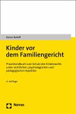 Kinder vor dem Familiengericht (eBook, PDF)
