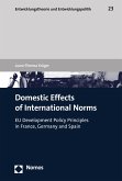 Domestic Effects of International Norms (eBook, PDF)
