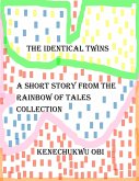 The Identical Twins (eBook, ePUB)