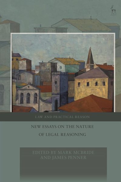 New Essays on the Nature of Legal Reasoning (eBook, ePUB)