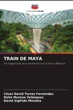 TRAIN DE MAYA - Torres Fernández, César David;Moreno Velázquez, Delia;Morales, David Sigfrido