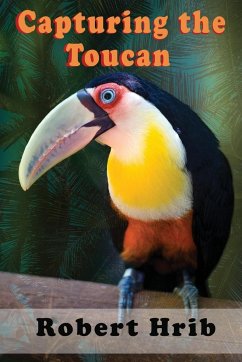 Capturing Toucan - Hrib, Robert