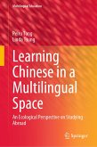 Learning Chinese in a Multilingual Space (eBook, PDF)