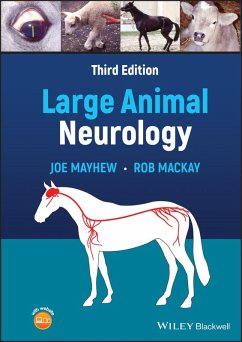 Large Animal Neurology (eBook, ePUB) - Mayhew, Joe; MacKay, Rob