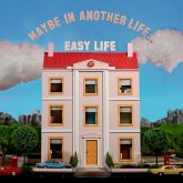 Maybe In Another Life...(Vinyl)