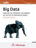 Big data (eBook, PDF)