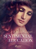 Sentimental Education (eBook, ePUB)