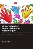 La participation démocratique au Mozambique