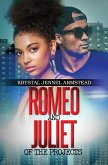 Romeo and Juliet of the Projects (eBook, ePUB)