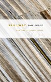 Spillway (eBook, ePUB)