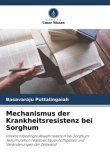 Mechanismus der Krankheitsresistenz bei Sorghum